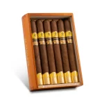 TRINIDA Cabildos 2024 Edicion Limitada 12s 千里達 理事會 2024 限量版 12支/盒