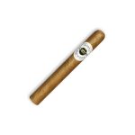 Ashton 阿什頓 Corona 艾什頓高朗拿：圖片 3